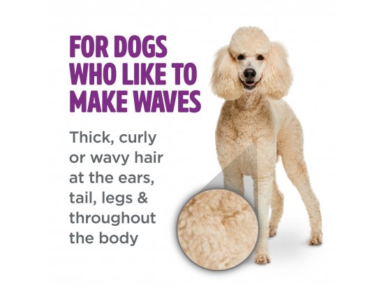 Фото - повседневная косметика Tropiclean CURLY & WAVY COAT Шампунь для кучерявой и волнистой шерсти собак