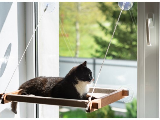 Фото - спальные места, лежаки, домики PetJoy Гамак на окно для кота, коричневый / бежевый