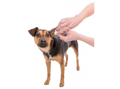Фото - для вух Trixie Eye-Care серветки для догляду за вухами тварин (29416)