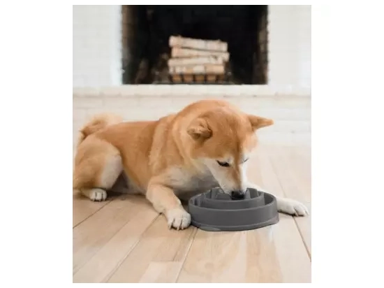 Фото - миски, поилки, фонтаны Outward Hound FUN FEEDER DROP - BOWL миска - лабиринт для медленной еды для собак