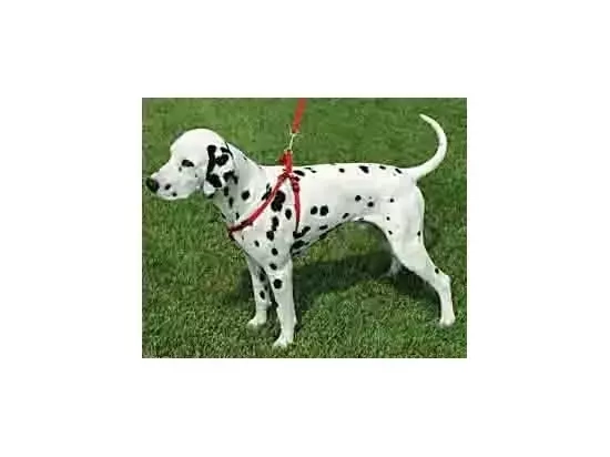 Фото - амуніція Collar Dog Extremе нейлонова регульована шлейка для собак, синій