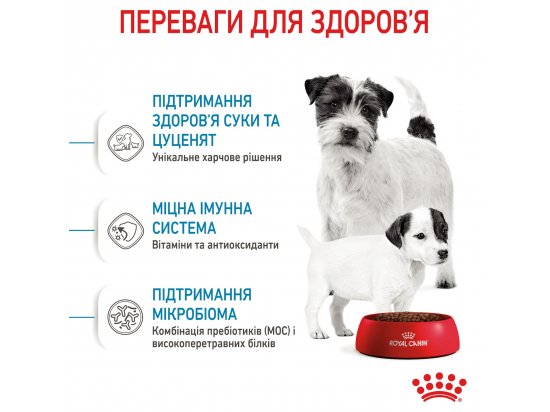 Фото - сухий корм Royal Canin MINI STARTER MOTHER & BABYDOG корм для вагітних та годуючих сук та цуценят міні-порід