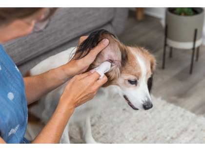 Фото - для ушей Trixie Eye-Care салфетки для ухода за ушами животных (29416)