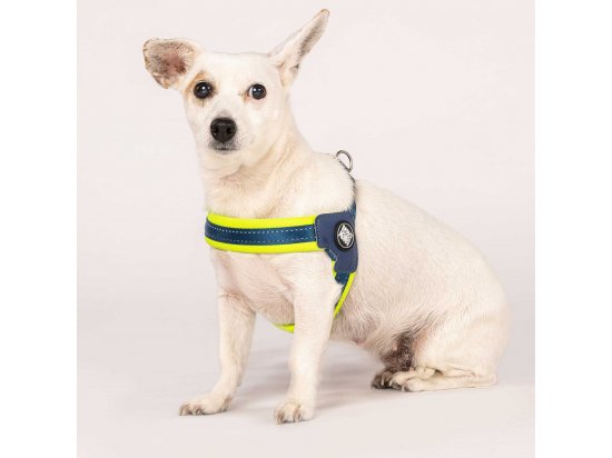Фото - амуниция Max & Molly Urban Pets Q-Fit Harness шлея для собак Matrix Lime Green