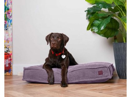 Фото - лежаки, матрасы, коврики и домики Harley & Cho MEMORY FOAM PINK ортопедическая подушка для собак, розовый