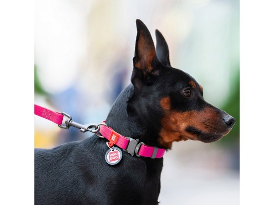 Фото - амуниция Collar WAUDOG WATERPROOF суперпрочный поводок для собак из водоотталкивающего материала, розовый