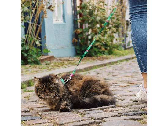 Фото - шлейки, нашийники Max & Molly Urban Pets Cat Harness/Leash Set шлейка з повідцем для кішок Tropical