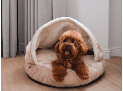Фото - лежаки, матраси, килимки та будиночки Harley & Cho COVER PLUSH PUDRA лежак з капюшоном для собак, пудровий