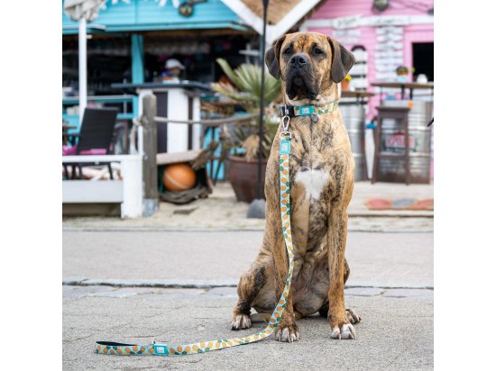 Фото - амуніція Max & Molly Urban Pets Smart ID Collar нашийник для собак з QR-кодом Sweet Pineapple