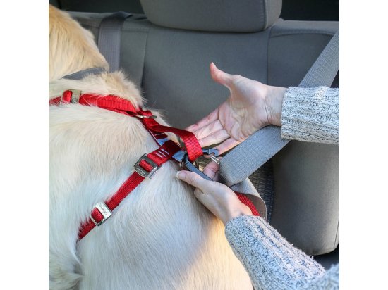 Фото - амуніція Kurgo Tru-Fit Smart Dog Car Harness універсальна автомобільна шлея для собак, червоний