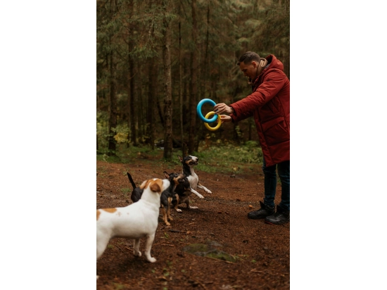 Фото - іграшки Collar PULLER Colors of Freedom тренувальний снаряд для собак (2 кільця)