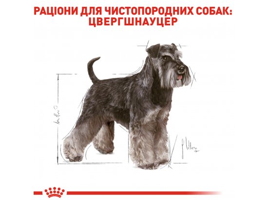 Фото - сухий корм Royal Canin MINIATURE SCHNAUZER ADULT (МІНІАТЮРЕ ШНАУЦЕР ЕДАЛТ) корм для собак від 10 місяців