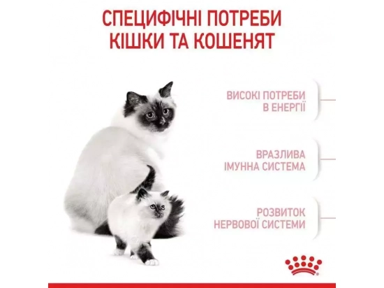 Фото - сухий корм Royal Canin Mother & Babycat (БЕБІКЕТ) сухий корм для кошенят 1-4 місяці, вагітних та лактуючих