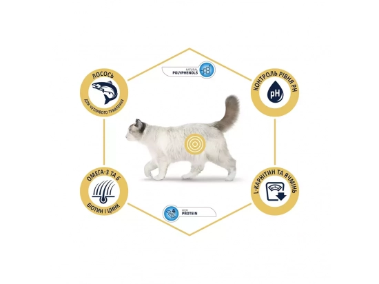 Фото - сухий корм Advance (Едванс) Sensitive Sterilized корм для стерилізованих кішок З ЛОСОСЕМ І ПШЕНИЦЮ