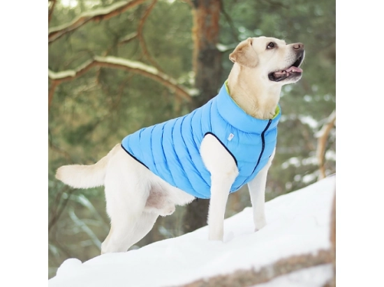 Фото - одежда Collar (Коллар) AIRY VEST (ЕЙРИ ВЕСТ ДВУСТОРОННЯЯ) куртка для собак, салатово-голубой