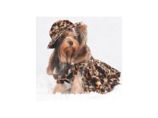 DoggyDolly КЛЕОПАТРА - пальто для собак (РАСПРОДАЖА - 30%)