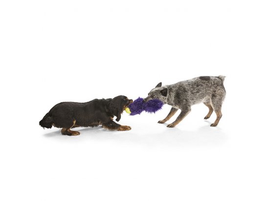 Фото - игрушки West Paw Rowdies CUSTER игрушка для собак