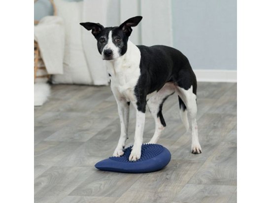 Фото - дресирування та спорт Trixie BALANCE CUSHION балансировочная подушка для тренировки собак (32093)