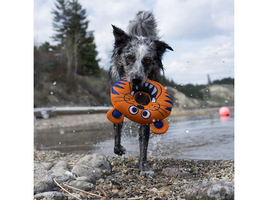 Фото - игрушки Coastal BARNEY BLOWFISH игрушка для собак РЫБА ФУГУ