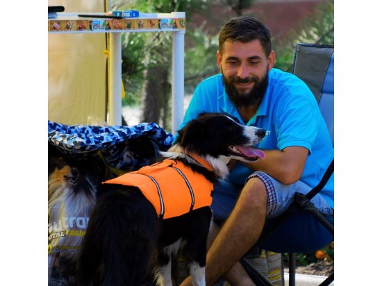 Фото - дресирування та спорт Croci Рятувальний жилет для собак
