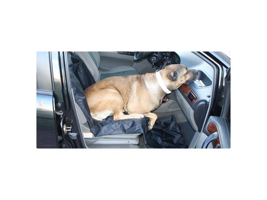 COLLAR Автогамак для собак - підстилка в салон та в багажник автомобіля - 2 фото