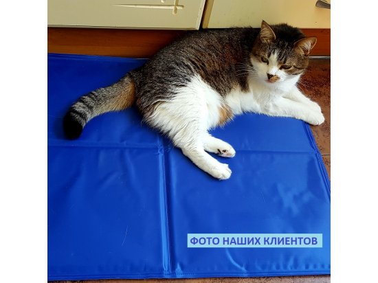 Фото - лежаки, матраси, килимки та будиночки Trixie Cooling Mat - Охолодний килимок для собак та кішок