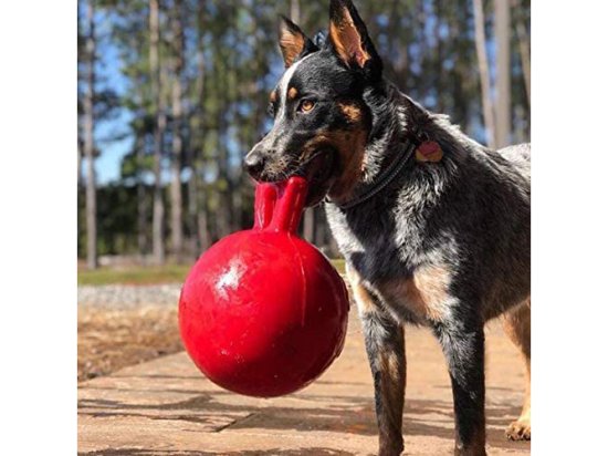 Фото - іграшки Jolly Pets TUG-N-TOSS іграшка для собак, м'яч з ручкою ВЕЛИКИЙ