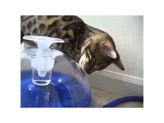 Hagen Catit Large Drinking Fountain - Питьевой фонтан для кошек и собак (50050) - 5 фото