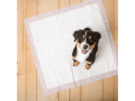 Hartz (Хартц) HOME PROTECTION ODOR ELIMINATING пеленки для собак с запахом лаванды, 53х53см - 4 фото