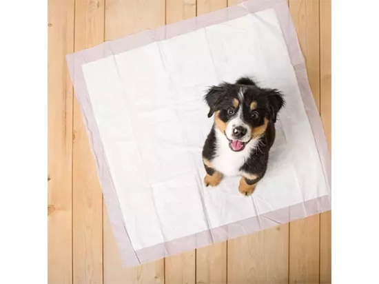 Фото - пеленки Hartz (Хартц) HOME PROTECTION ODOR ELIMINATING пеленки для собак с запахом лаванды