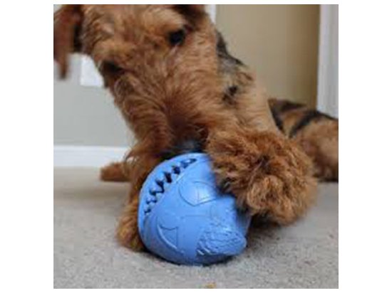 Фото - игрушки Jolly Pets MONSTER BALL игрушка для собак, монстр