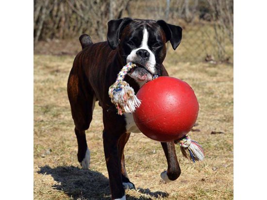 Фото - іграшки Jolly Pets TUG-N-TOSS іграшка для собак, м'яч із ручкою ГІГАНТСЬКИЙ