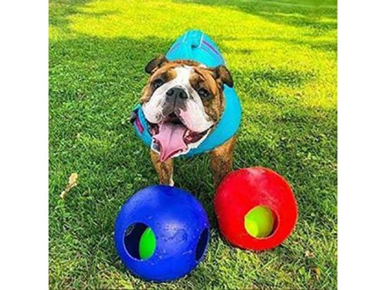 Фото - игрушки Jolly Pets TEASER BALL игрушка для собак, мяч в мяче МАЛЫЙ