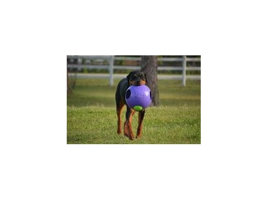 Фото - іграшки Jolly Pets TEASER BALL іграшка для собак, м'яч у м'ячі ВЕЛИКИЙ