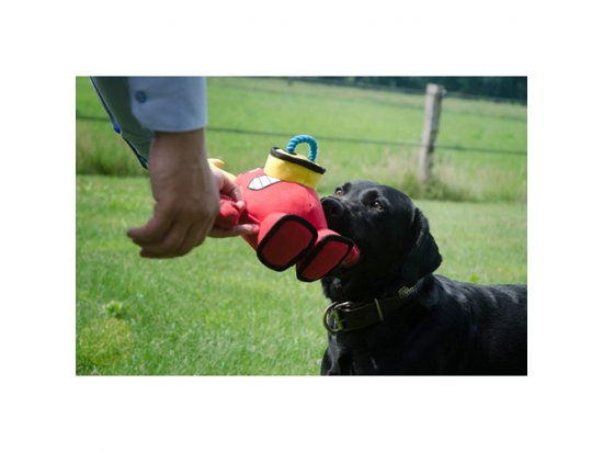 Фото - игрушки Mighty Beast (Майти Бист) ТИГР игрушка для собак