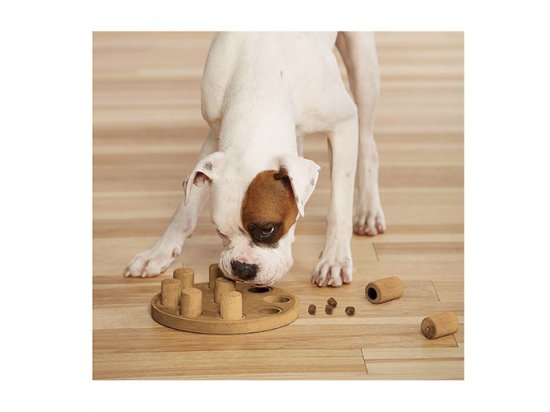 Фото - игрушки Nina Ottosson SMART COMPOSITE игрушка - головоломка для собак СМАРТ КОМПОЗИТ