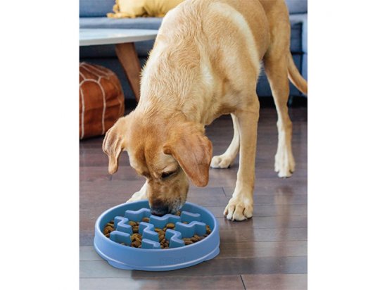 Фото - миски, поилки, фонтаны Outward Hound FUN FEEDER миска - лабиринт для медленной еды для собак ТЕТРИС