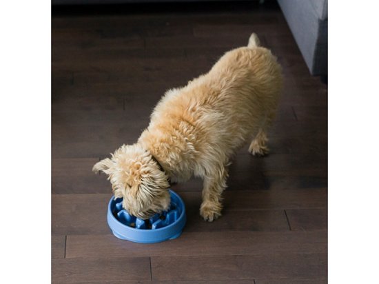 Фото - миски, поилки, фонтаны Outward Hound FUN FEEDER миска - лабиринт для медленной еды для собак ТЕТРИС
