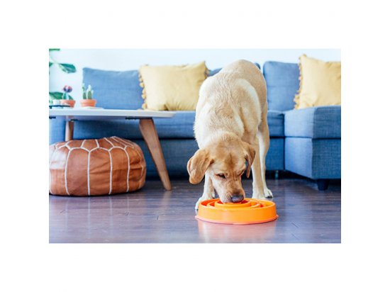Фото - миски, поилки, фонтаны Outward Hound FUN FEEDER SLO - BOWL миска - лабиринт для медленной еды для собак