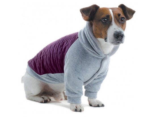 Фото - одежда Pet Fashion ГЕНРИ ТОЛСТОВКА одежда для собак