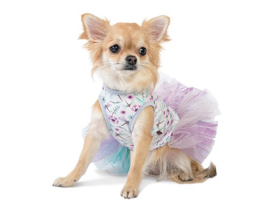 Фото - одежда Pet Fashion ДЕЙЗИ платье для собак