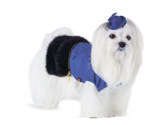 Фото - одяг Pet Fashion ФРАНЧЕЗЬ жакет з хутром для собак