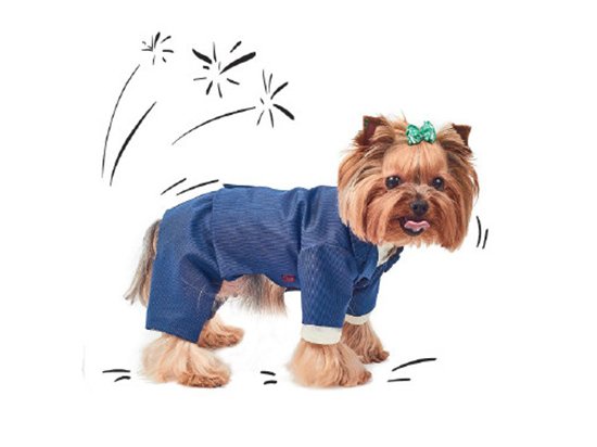 Фото - одяг Pet Fashion (Пет Фешин) ДЖОВАННЯ костюм трійка для собак