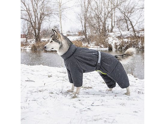 Фото - одяг Pet Fashion COLD комбінезон - одяг для собак