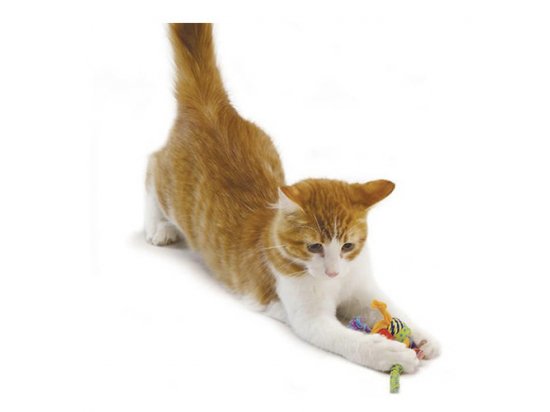 Фото - іграшки Petstages CATNIP TONS OF TAILS іграшка для котів ТОВСТІ ХВОСТИКИ