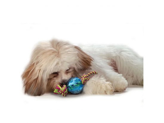 PETSTAGES Mini Orka Ball with rope Орка мини мячик с канатиками - игрушка для собак, 22 x 6 x 6 cм  - 3 фото