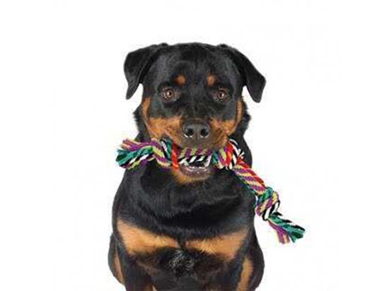 Petstages (Петстейджес) Multi Rope Chew - Цветной канат с узлами - Игрушка для средних и крупных собак, длина 30 см - 3 фото