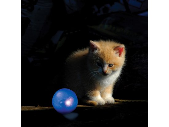 Фото - іграшки Petstages (Петстейджес) Twinkle Ball - М'ячик, що світиться - Іграшка для котів і кошенят, діаметр 4,5 см