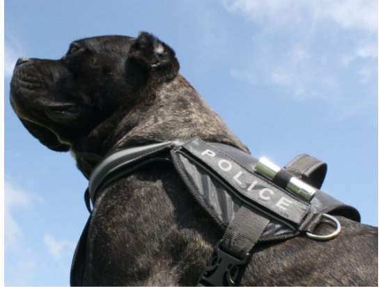 Collar POLICE Регулируемая шлея для собак ЧЕРНАЯ - 4 фото