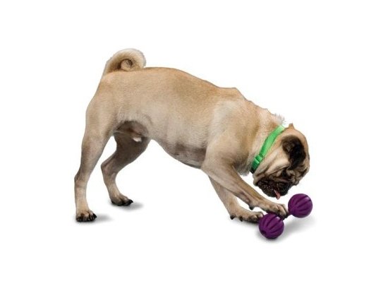 PetSafe WAGGLE (Ваггл) Суперпрочная игрушка-лакомство для собак - 3 фото